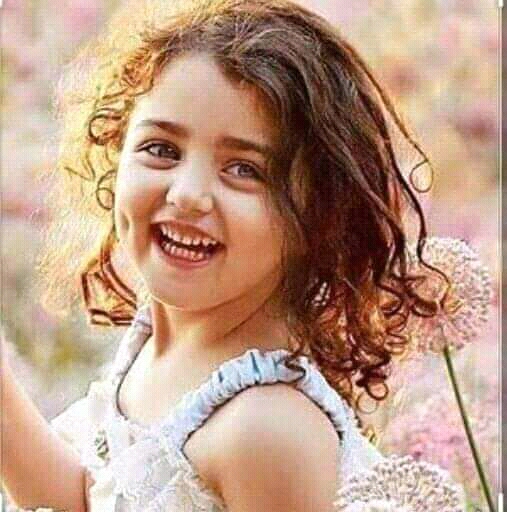 ������ ���_F_3FN