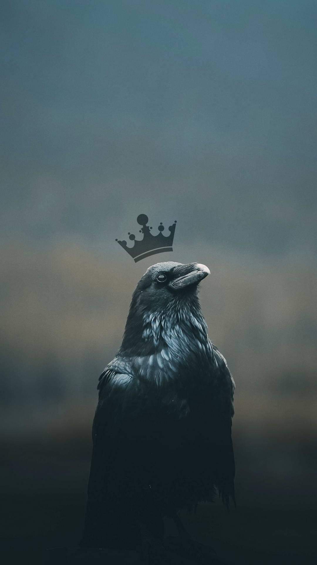 ���� ���� ��������_H0YR0