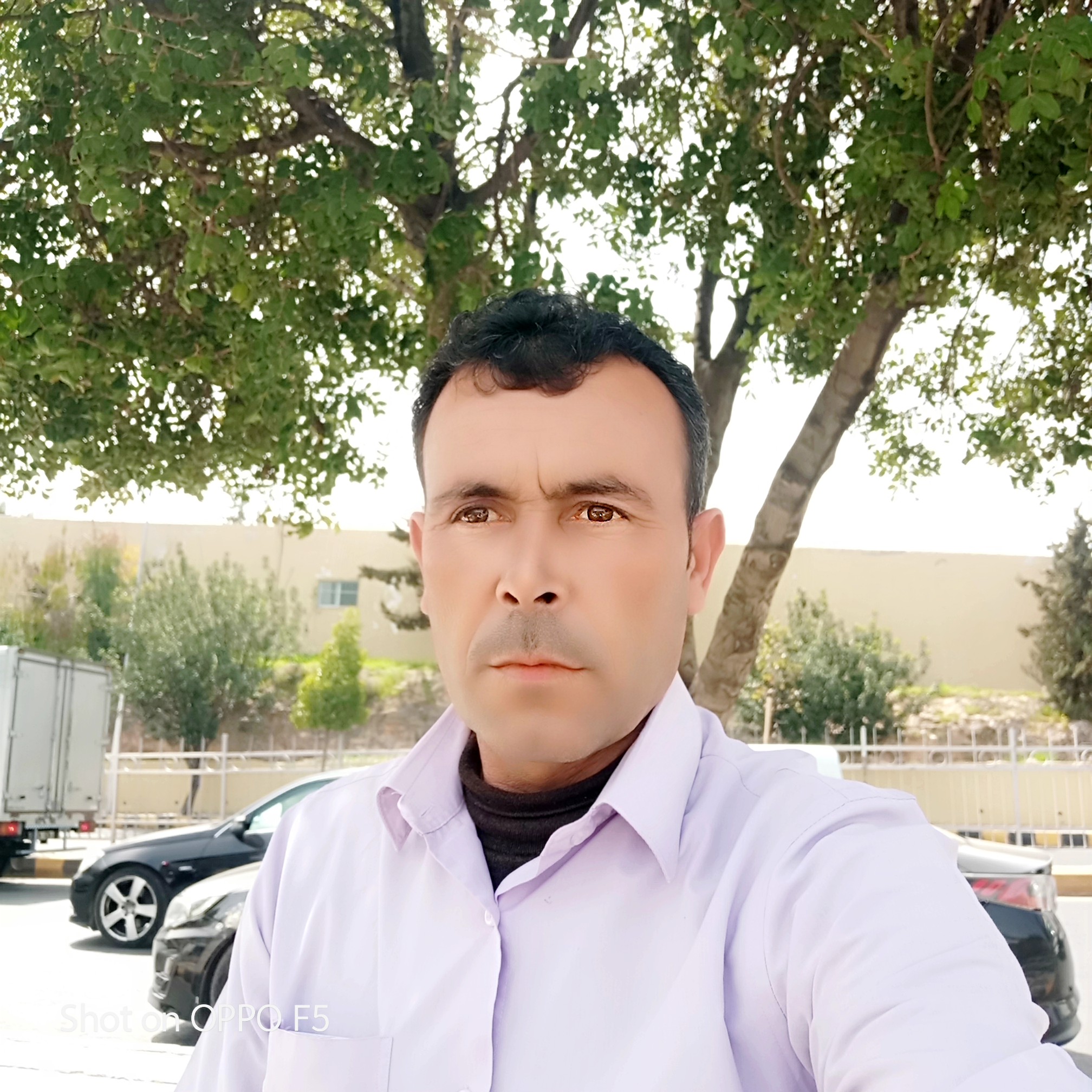 ��� ������ �����_M3sQC