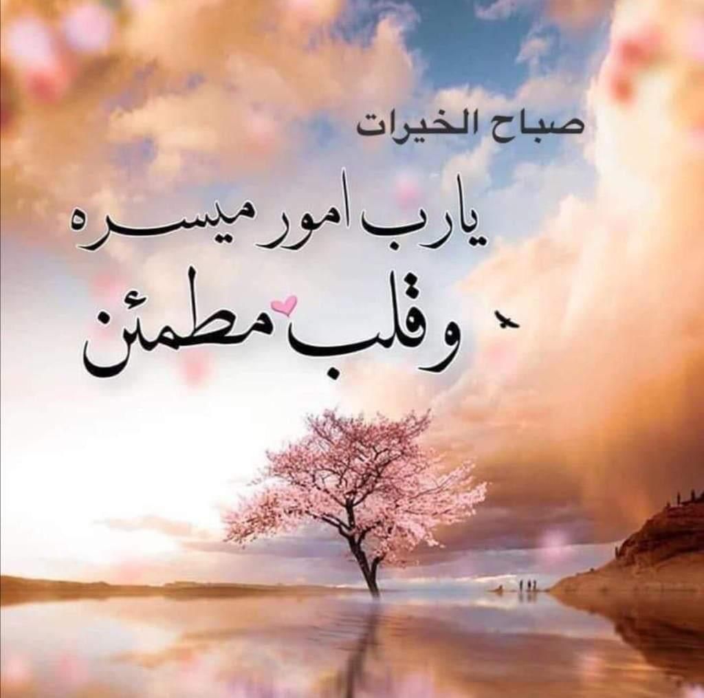 Alaa Hijawi_rrVru