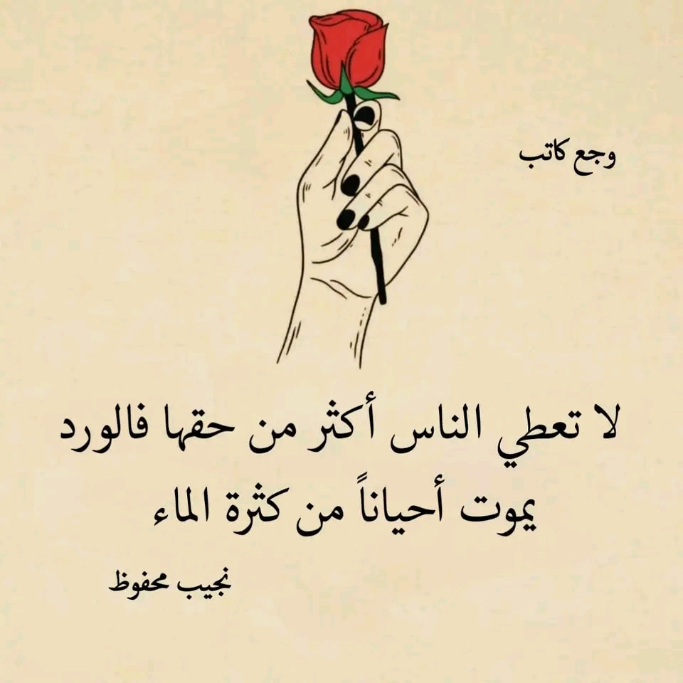 Haitham Gadaan_9_T7D
