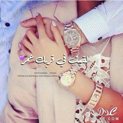 ���� ����_rNaE7