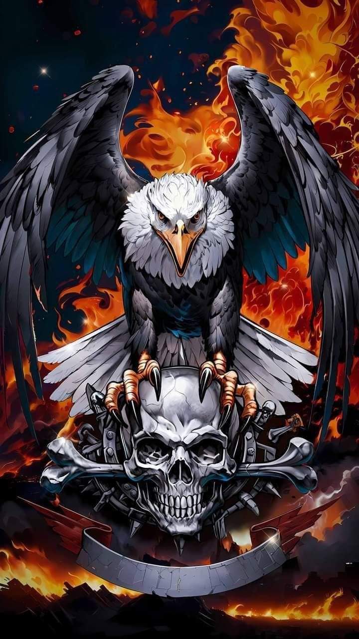 ���� ����_JrAvB