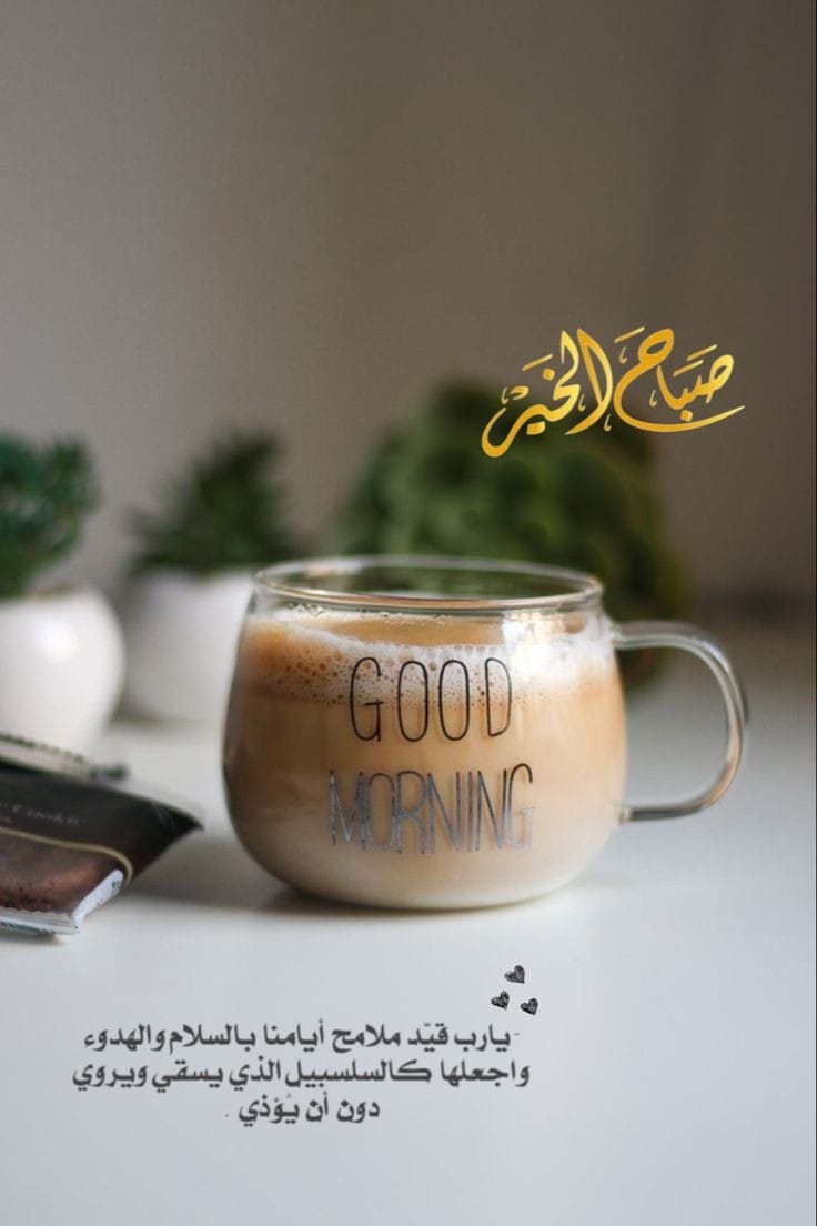 ���� �����_hOlxB