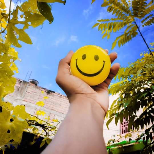 ������� ����_Mx638