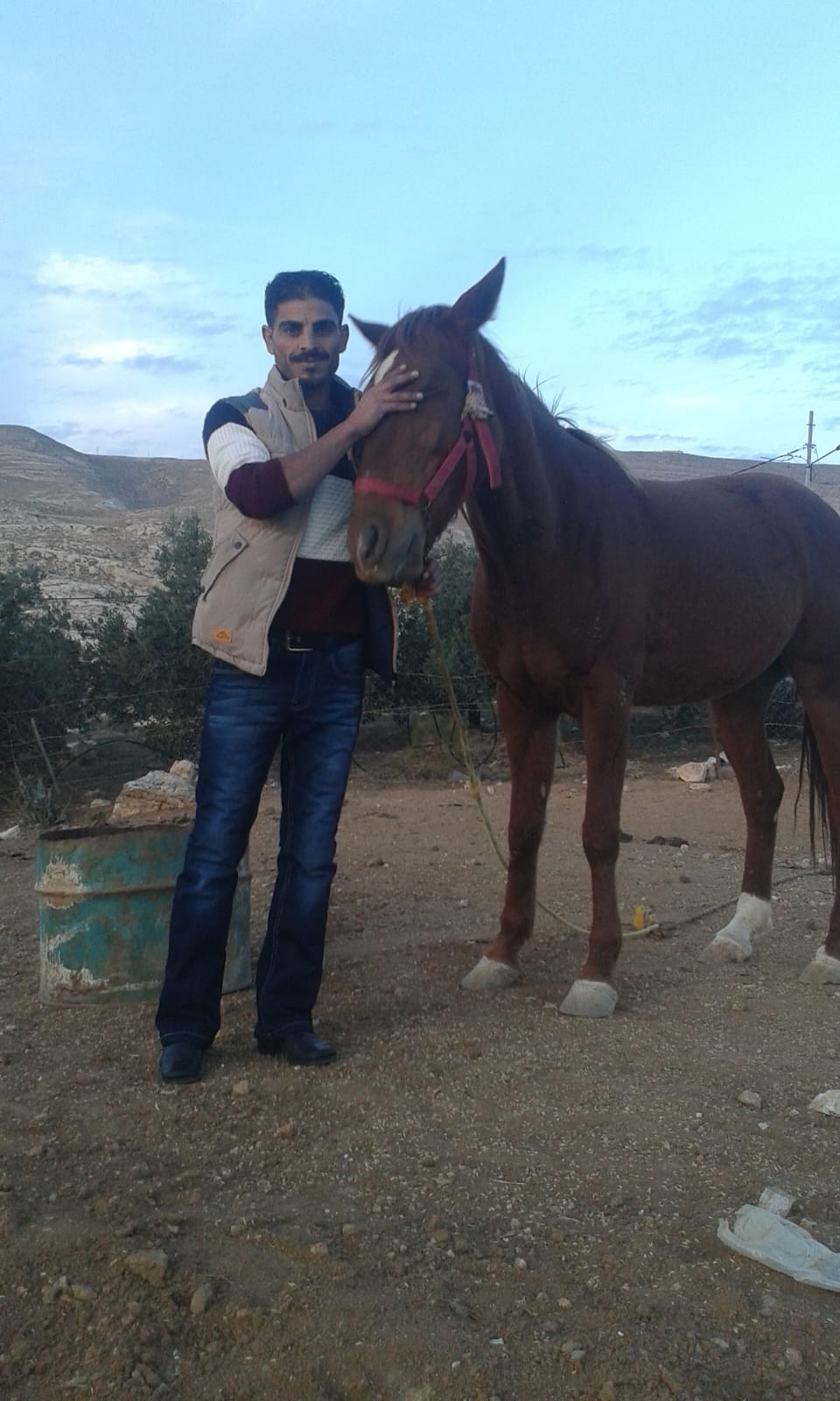 ���� ������_BEf0w