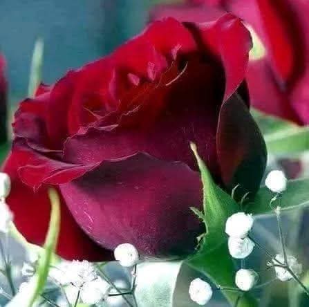 ������� ���� ���� �����_5Jbsr