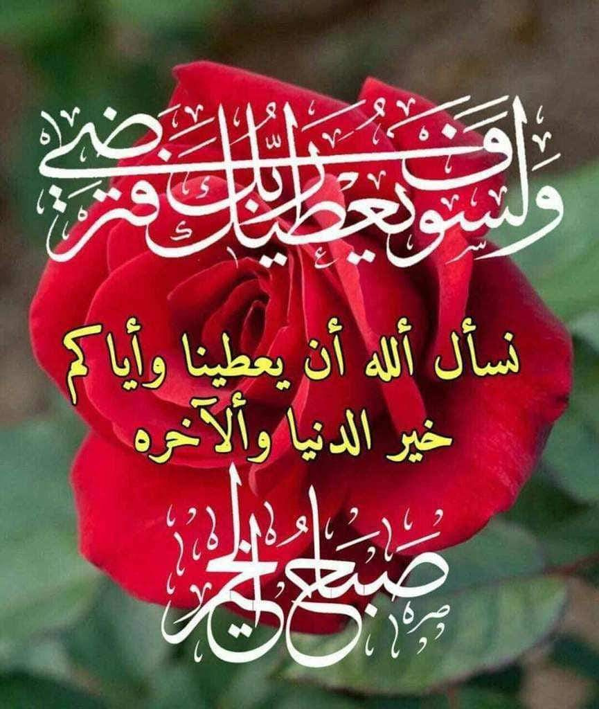 Morad Aloudat_E3GOT